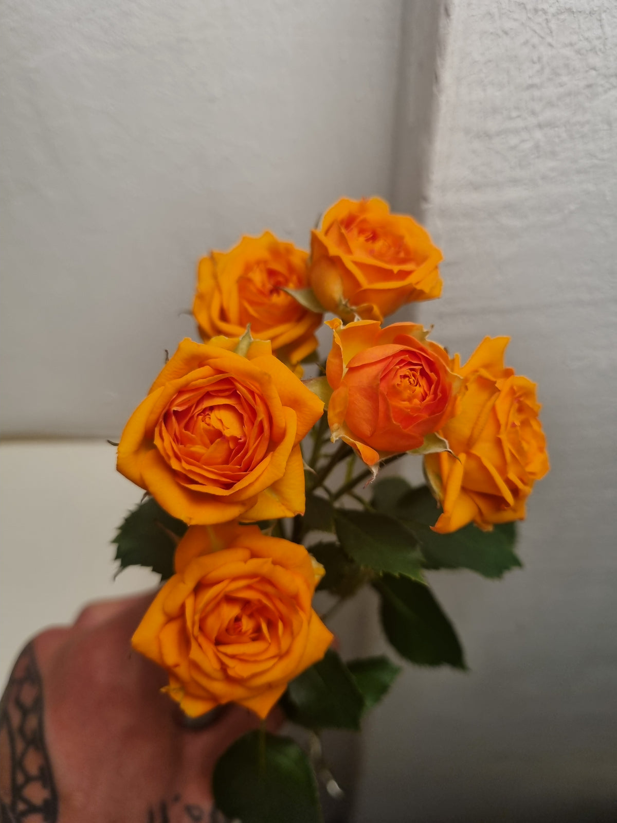 Rose arancioni a grappolo